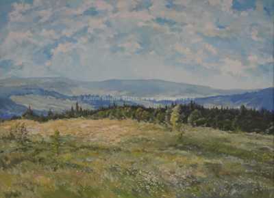  / Rozkvetlá louka / František Horký