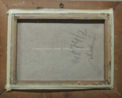  / Rozkvetlé trávy / Julie Mezerová-Winterová