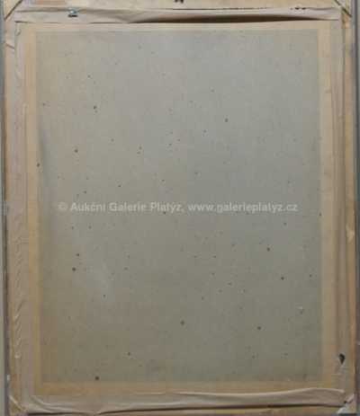  / Při studiu / Radoslav Čáslavský