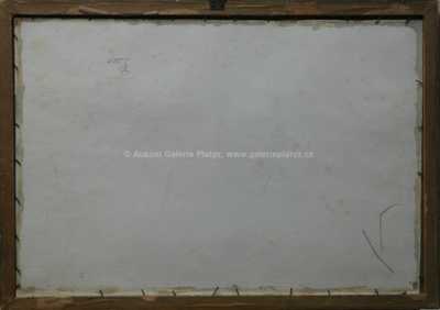  / Daleký pohled / Josef Jambor