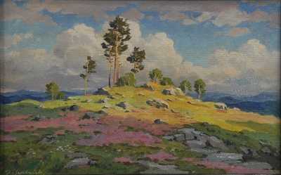  / Prosluněný vršek / František Daněk - Sedláček