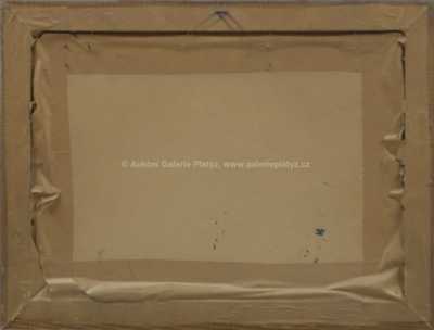  / Hluboké lesy / Jaroslav Trinkmoc