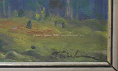  / Hluboké lesy / Jaroslav Trinkmoc