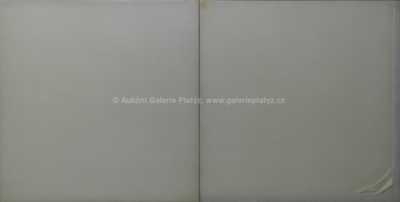  / Dvojdílný objekt / Jiří Hilmar