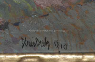  / Pohled na závodní trať / Vilém  Kreibich