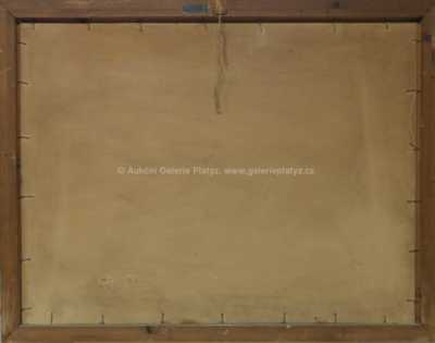  / Pohled na závodní trať / Vilém  Kreibich