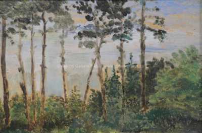 / Vysoké stromy / František Kaván
