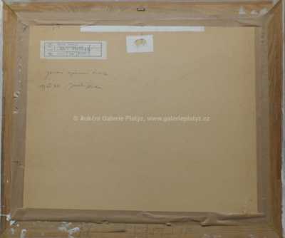  / Jaro v Hostivaři / Jaroslav Trnka