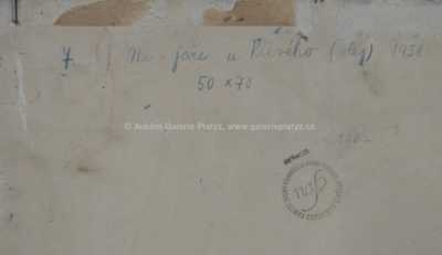  / Na jaře u Křivého / Jaroslava  Hýžová Fišerová