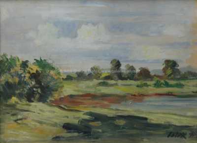  / Křoviny / Stanislav Lolek