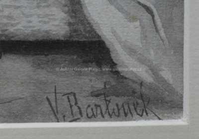  / Pradlenka / Vojtěch Bartoněk