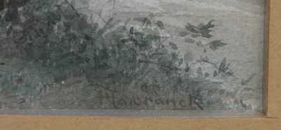  / Lesní potok / Bedřich  Havránek