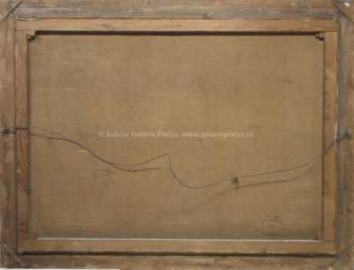  / Starý mlýn / Antonín Raimund Wolf