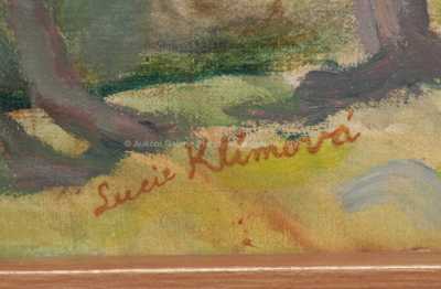  / Pod Vidlemi u Ždiaru / Lucie Klímová