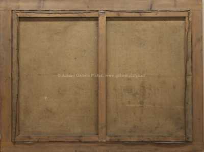  / Topoly u Orlice / Jan Honsa