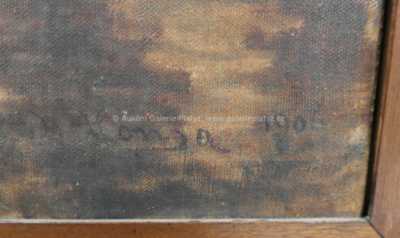  / Topoly u Orlice / Jan Honsa