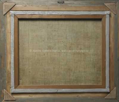  / Roubenka pod sněhem / Bedřich Peroutka