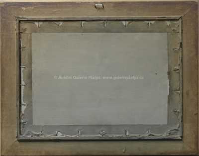  / Luční potok / Alois Kalvoda