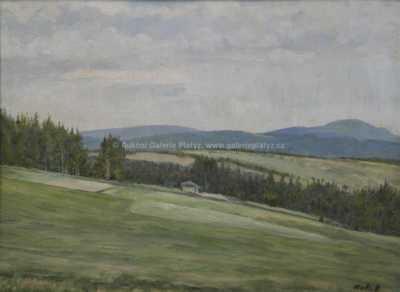  / Motiv z Čimelic /  Josef Holub