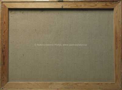  / Stín / Vladimír Komárek