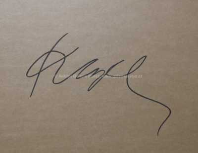  / Milenci / Vladimír Kopecký