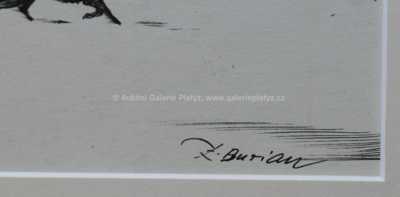  / Pronásledován vlky / Zdeněk Burian