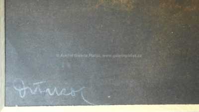  / Dívka s draperií / František Drtikol