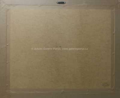  / Rackové u pobřeží / S. G.  Maran