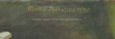  / Rozkvetlá květina / Minka Podhájská