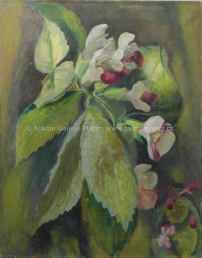  / Rozkvetlá květina / Minka Podhájská