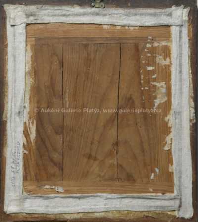  / Portrét dívky /   Neznačeno