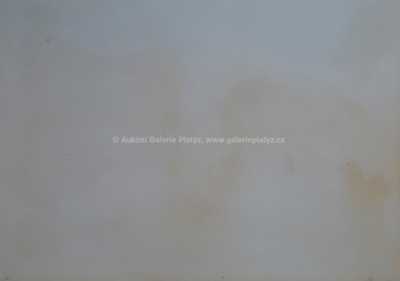  / Vrby u rybníka / Bohuslav Reynek