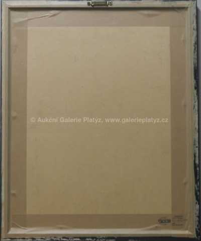  / Amarylis / Anežka Medunová