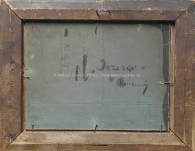  / Rybář v Korutanech / Alois Kirnig