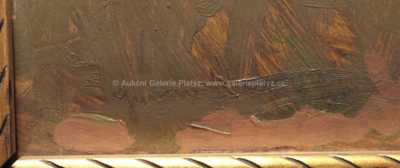  / Kameničky / Gustav Macoun