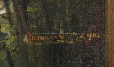  / Tůň pod jezem /   Autor neurčen