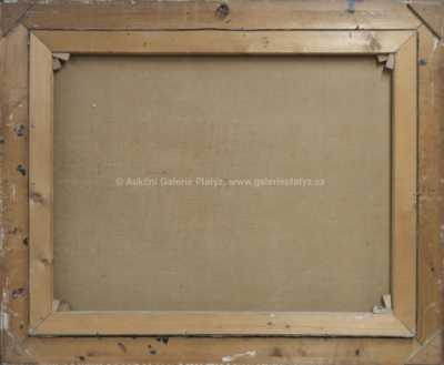  / Plachetníce na obzoru / Václav Košnář