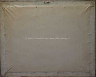  / Letní potok / Karel Karas