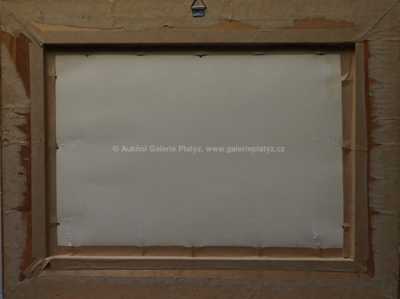  / Pohled z Petřína / Jan Slavíček