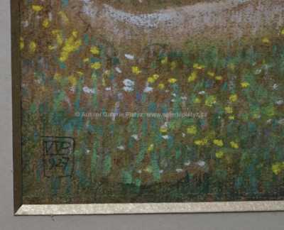  / Dívky na louce / Bedřich Wachsmann ml.