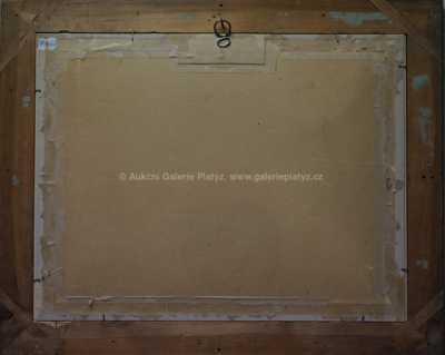  / Holubička / Josef Čapek