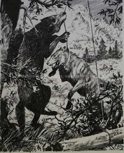  / V pasti / Zdeněk Burian