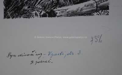  / V pasti / Zdeněk Burian