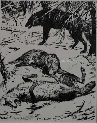  / Mrtvý vlk / Zdeněk Burian