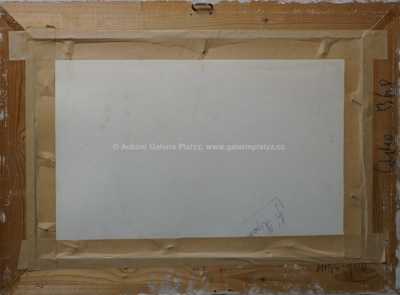  / Mezi chaloupkami / František  Max