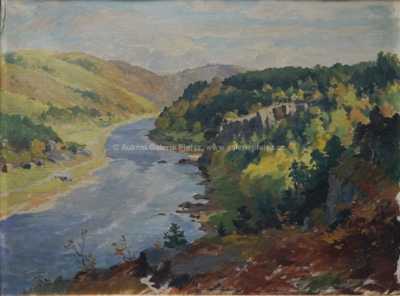  / Říční údolí / František Daněk - Sedláček