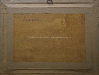  / Podvečer na poli / Vlastimil Kuřil