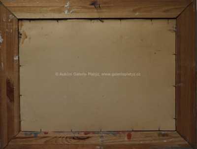  / Pod Sněžkou / Karel Havlata