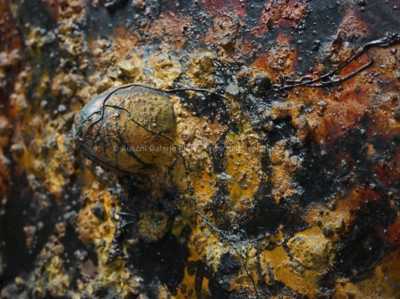  / Útvar / František Blažíček