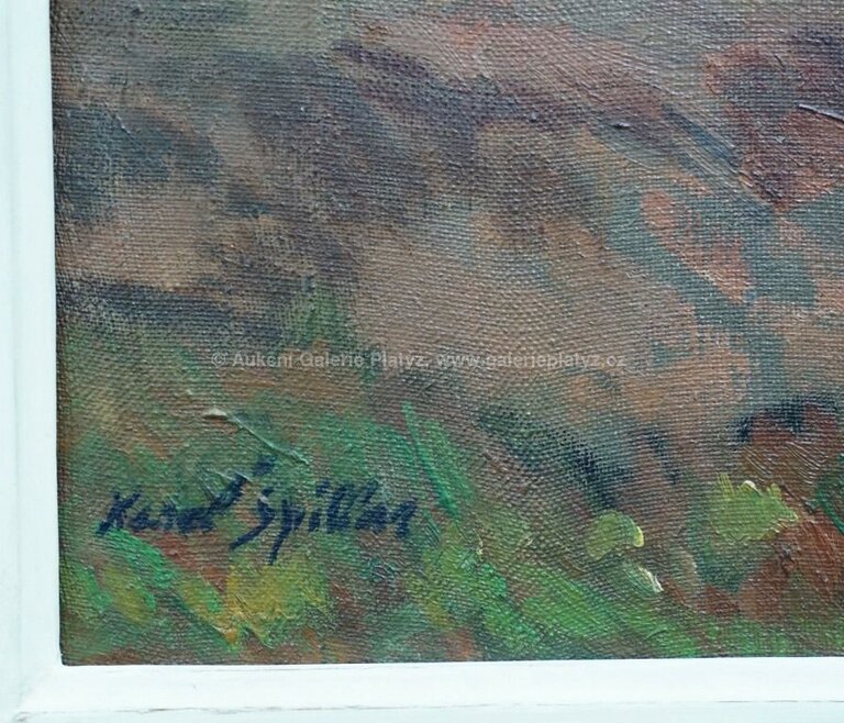  / Plavení koní / Karel Špillar